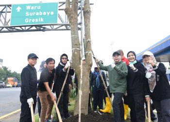 Gerakan Jihad Rawat Taman, Pemkab Sidoarjo Tanam Pohon Pule di Taman Gerbang Tol Sidoarjo