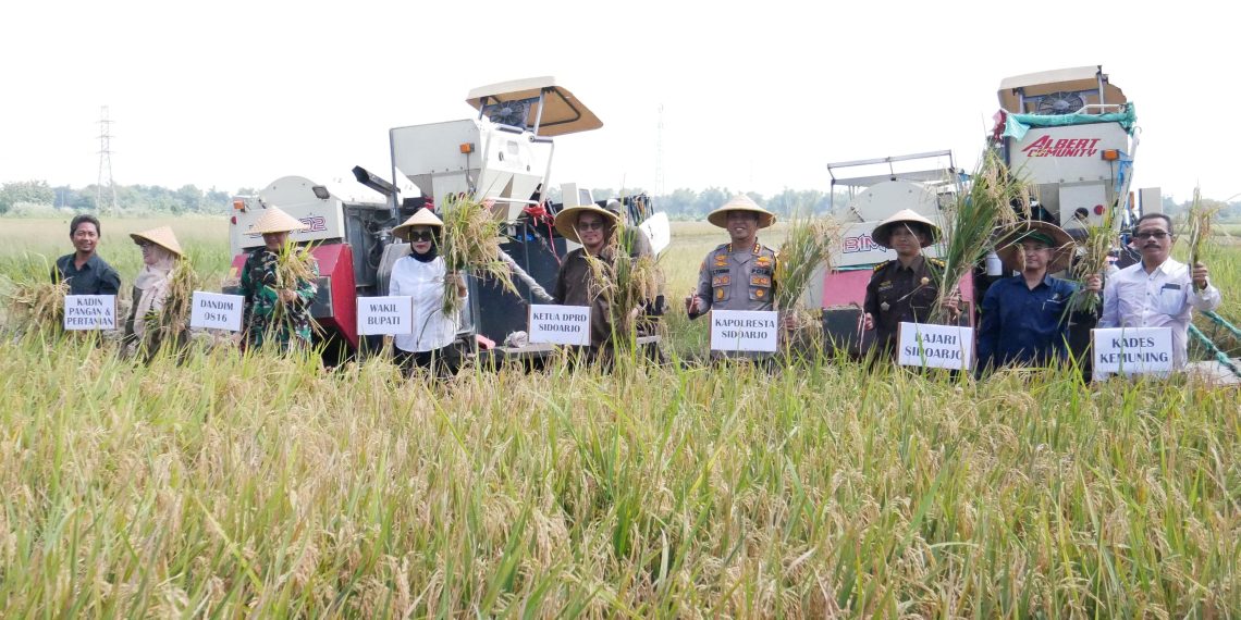 Wakil Bupati Sidoarjo Hj.Mimik Idayana Ikuti Panen Raya Padi Serentak bersama Presiden di Desa Kemuning, Tarik