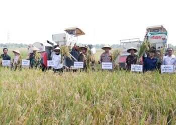 Wakil Bupati Sidoarjo Hj.Mimik Idayana Ikuti Panen Raya Padi Serentak bersama Presiden di Desa Kemuning, Tarik