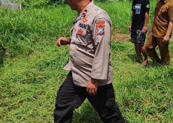 Polsek Tanggulangin Dukung Program Ketahanan Pangan, Buka Lahan Jagung di Desa Kedensari