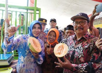 Wabup Sidoarjo Apresiasi Melon Hidroponik Desa Gempol Klutuk