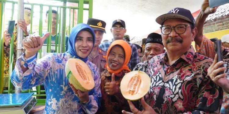 Wabup Sidoarjo Apresiasi Melon Hidroponik Desa Gempol Klutuk