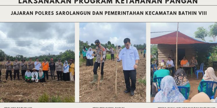 Polsek Bathin VIII Wilayah Polres Sarolangun Bersama Pemerintahan Kecamatan Laksanakan Program Ketahanan Pangan Penanaman Jagung