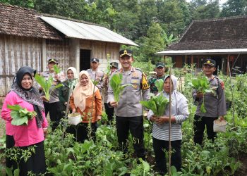 Kapolres Magetan Dukung Penuh Pekarangan Bergizi dan Kampung Budidaya Ikan di Desa Sumberdodol Sebagai Desa Ketahanan Pangan