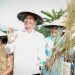 Panen Raya Padi Organik di Bojonegoro Buktikan Tanah Subur dan Petani Sejahtera