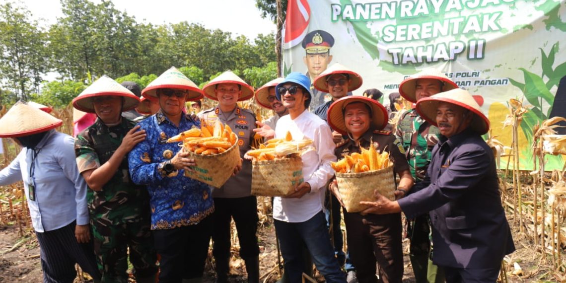 Panen Raya Jagung 161 Hektare di Parang, Kapolres Magetan Bersama Forkopimda Tegaskan Komitmen Dukung Ketahanan Pangan Nasional