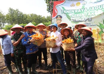 Panen Raya Jagung 161 Hektare di Parang, Kapolres Magetan Bersama Forkopimda Tegaskan Komitmen Dukung Ketahanan Pangan Nasional