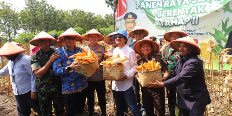 Panen Raya Jagung 161 Hektare di Parang, Kapolres Magetan Bersama Forkopimda Tegaskan Komitmen Dukung Ketahanan Pangan Nasional
