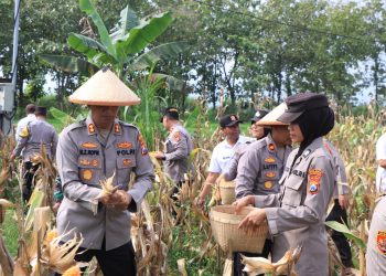 Dukung Asta Cita Presiden, Polres Madiun Panen 1 Ton Jagung