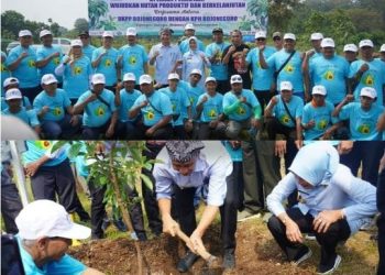 Bupati Bojonegoro Tanam Alpukat, Bisa Memberikan Manfaat dan Lingkungan Lebih Lestari