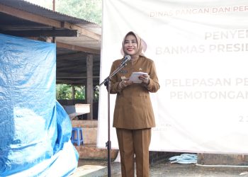 Kabupaten Sidoarjo Terima Satu Ekor Sapi Seberat 1,08 Ton dari Presiden Prabowo Subianto