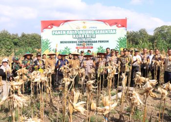 Polres Madiun gelar Panen Raya Jagung Serentak Kuartal II Virtual bersama Presiden RI di wilayah Pajaran Saradan Madiun