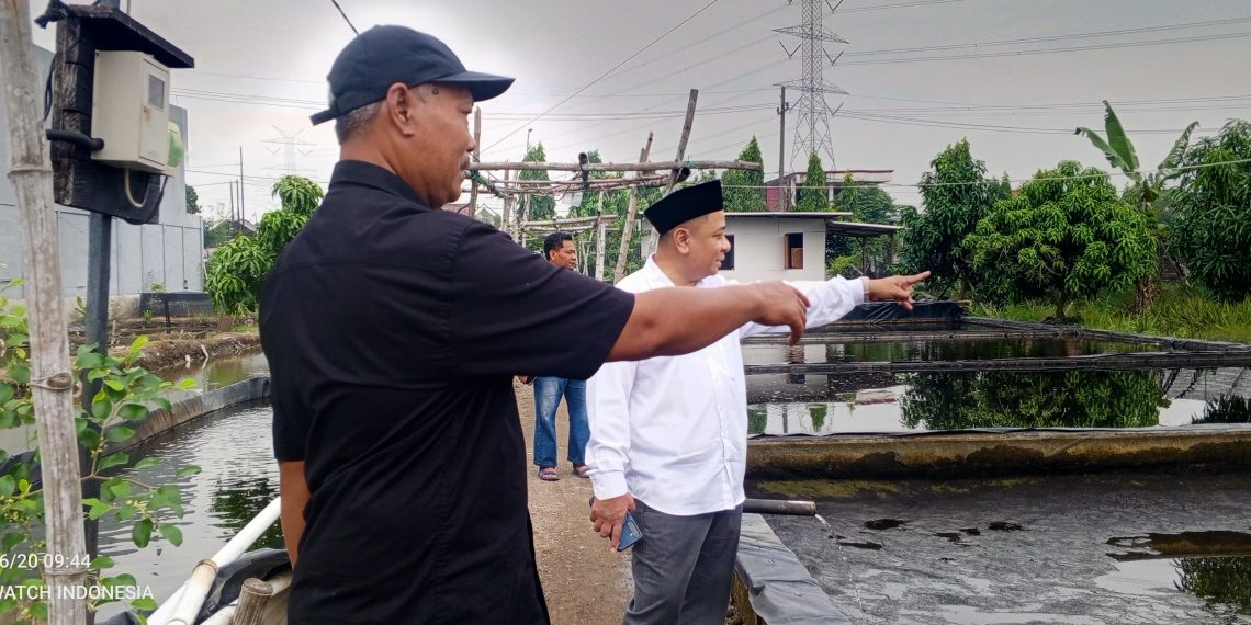 Komisi B DPRD Sidoarjo Kunjungi Pembudidaya Ikan Air Tawar, Berharap Sidoarjo Jadi Supplier Benih Ikan dan Ikan Segar