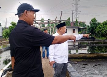 Komisi B DPRD Sidoarjo Kunjungi Pembudidaya Ikan Air Tawar, Berharap Sidoarjo Jadi Supplier Benih Ikan dan Ikan Segar