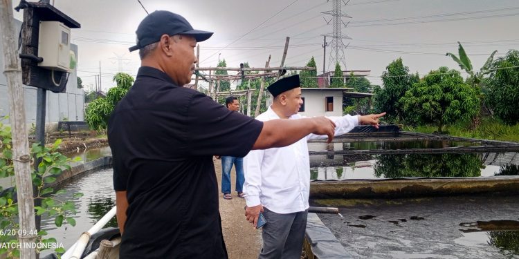 Komisi B DPRD Sidoarjo Kunjungi Pembudidaya Ikan Air Tawar, Berharap Sidoarjo Jadi Supplier Benih Ikan dan Ikan Segar