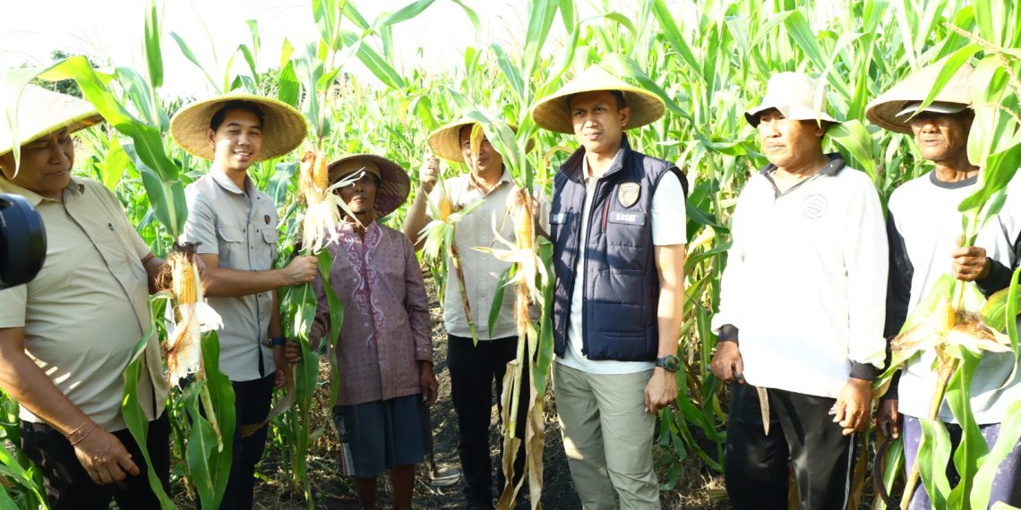 Dukung Ketahanan Pangan, Polres Gresik Gelar Penanaman Jagung Serentak di Lahan Perhutanan Sosial