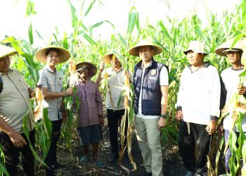 Dukung Ketahanan Pangan, Polres Gresik Gelar Penanaman Jagung Serentak di Lahan Perhutanan Sosial