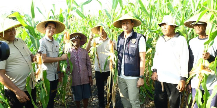 Dukung Ketahanan Pangan, Polres Gresik Gelar Penanaman Jagung Serentak di Lahan Perhutanan Sosial