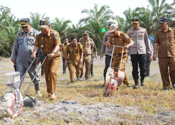 Bupati dan Forkopimda Merangin Tanam Jagung Serentak di Desa Mentawak