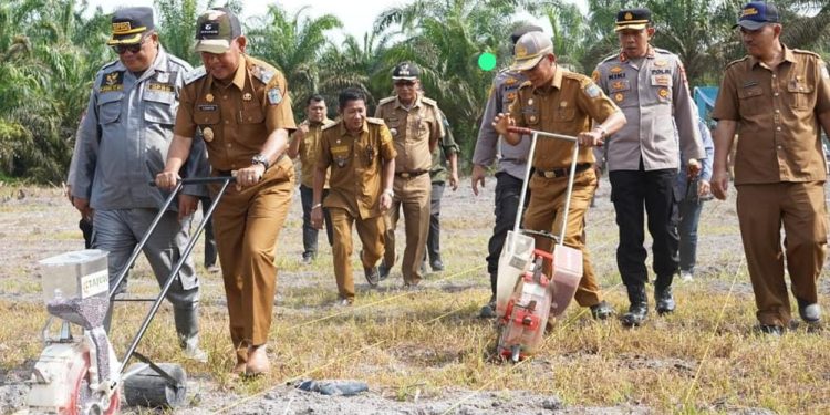 Bupati dan Forkopimda Merangin Tanam Jagung Serentak di Desa Mentawak