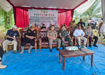Dukung Swasembada Pangan Nasional, Dandim 0420/Sarko dan Bupati Merangin Tanam Padi Serentak di Dua Kabupaten
