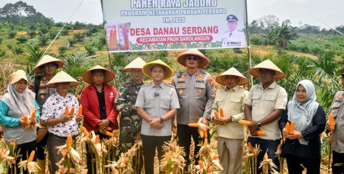 Perkuat Ketahanan Pangan, Polres Sarolangun dan Forkopimda Gelar Panen Raya Jagung Kuartal III 2025