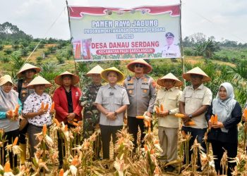 Perkuat Ketahanan Pangan, Polres Sarolangun dan Forkopimda Gelar Panen Raya Jagung Kuartal III 2025