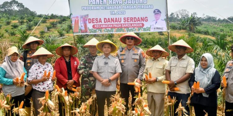 Perkuat Ketahanan Pangan, Polres Sarolangun dan Forkopimda Gelar Panen Raya Jagung Kuartal III 2025