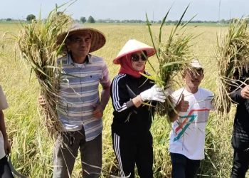 Keluhan Air Teratasi, Petani Sidoarjo Apresiasi Respons Cepat Wabup Sidoarjo Hj.Mimik Idayana