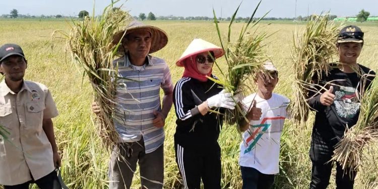 Keluhan Air Teratasi, Petani Sidoarjo Apresiasi Respons Cepat Wabup Sidoarjo Hj.Mimik Idayana