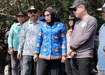 Wabup Sidoarjo Sidak Jembatan Ambruk di Tambak Cemandi, Pembangunan Dimulai Akhir Bulan
