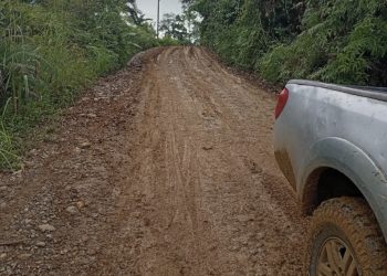 Jalan Rusak Parah di Merangin, Warga Keluhkan Sulitnya Akses ke Desa Sungai Sakai