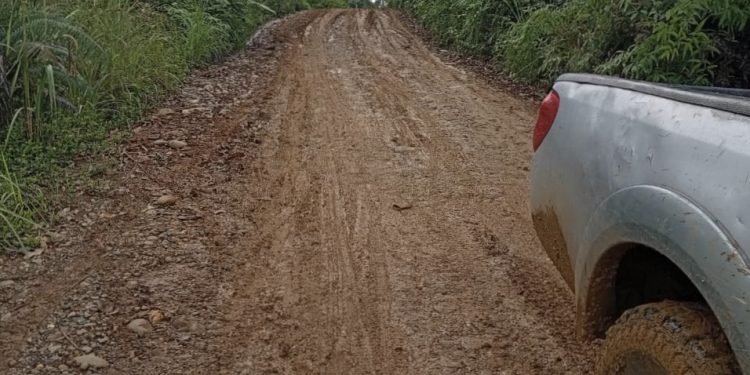 Jalan Rusak Parah di Merangin, Warga Keluhkan Sulitnya Akses ke Desa Sungai Sakai