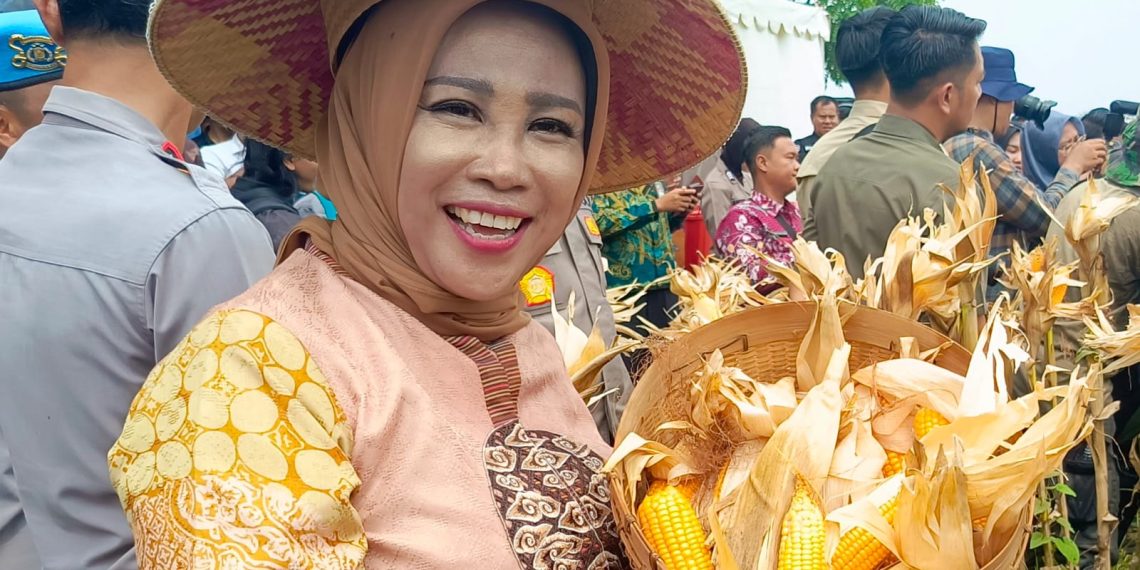 Kapolda Jatim Pimpin Panen Raya Jagung di Tanggulangin, Wabup Sidoarjo Hj. Mimik Tegaskan Komitmen Ketahanan Pangan
