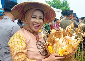 Kapolda Jatim Pimpin Panen Raya Jagung di Tanggulangin, Wabup Sidoarjo Hj. Mimik Tegaskan Komitmen Ketahanan Pangan